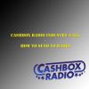 Download track Cashbox Radio Industry Talk - How To Send To Radio, Pt. 8