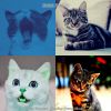 Download track Easy (Cute Kittens)