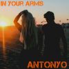 Download track In Your Arms (Radio Mix)