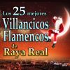 Download track Sonidos De La Navidad I: Iba Caminando / Camina La Virgen Pura / Ya Vienen Los Reyes Magos / Pastores Venid