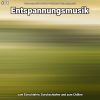 Download track Entspannungsmusik Teil 47