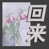 Download track 回到过去