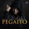 Download track Pegaito