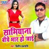 Download track Bichhake Bhauji Bora