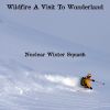 Download track Wildfire A Visit To Wonderland