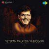 Download track Aathu Mettule - Gramathu Atthiyayam (From 