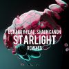 Download track Starlight (James Black Pitch Remix)