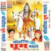 Download track Nama Shivay