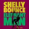 Download track Shelly Bounce (Instrumental)