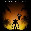 Download track Crash Bandicoot Woah (Slowed And Reverb Remix)