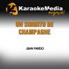 Download track Un Sorbito De Champagne (Karaoke Version) [In The Style Of Juan Pardo]