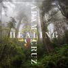 Download track Healing