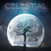 Download track Celestial Traveller