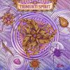 Download track Eternity And Instants (Trimurti Mix)