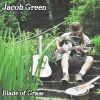 Download track Blade Of Grass (One Man Band Version)