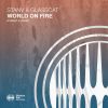 Download track World On Fire (Robert B Remix)