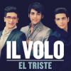 Download track El Triste