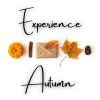 Download track All Inclusive Autumn