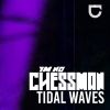 Download track Tidal Waves