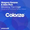 Download track Breaking The Cage (Matheus Teston Remix)