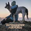 Download track Gutes Hundeleben