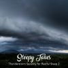 Download track Thunderstorm Serenity For Restful Sleep, Pt. 1