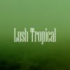 Download track Lush Tropical Groove