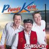 Download track Sehnsucht