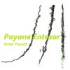 Download track Payane Entezar