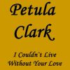 Download track I Couldn`t Live Without Your Love