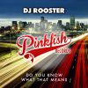 Download track Do You Know What That Means (Funky Truckerz Remix)