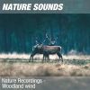 Download track Nature Sounds For Relaxing, Meditating & Studying (Lovely Forest) 01