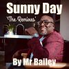 Download track Sunny Day (Dev Jamz Reggae Roots Mix)