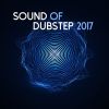 Download track A Thousand Joys (Dubstep Version)