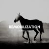 Download track Remobilization