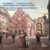 Download track Symphony In F Major, Op. 24: I. Introduction - Allegro Con Fuoco