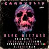 Download track Candyflip (Original Mix)