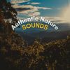 Download track Calm Nature Sounds With Music, Pt. 54