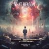 Download track What Reason (Radio Cut)