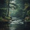 Download track Tranquil Paths For Quiet Relaxation