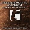 Download track Under Your Spell (Extended Mix)