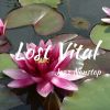 Download track Lost Vital