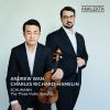 Download track Violin Sonata No. 1 In A Minor, Op. 105: II. Allegretto