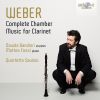 Download track Clarinet Quintet In B-Flat Major, Op. 34: II. Fantasia. Adagio Ma Non Troppo