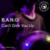 Download track Can't Give You Up (Extended Mix)