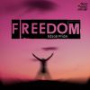 Download track Freedom (GSP '2K17 Remix)