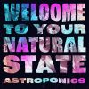 Download track Welcome To Your Natural State