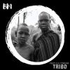 Download track Tribo