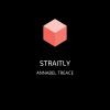 Download track Straitly