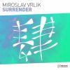 Download track Surrender (Extended Mix)